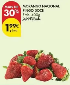 Nacional - Morango  Pingo Doce
