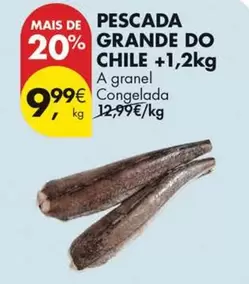 A+ - Pescada Grande Do Chile