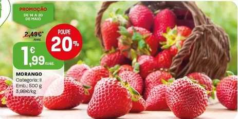 Morango
