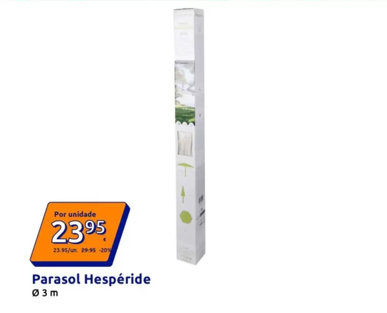 Parasol Hesperide