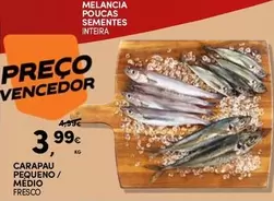 Carapau Pequeno/Medio Fresco