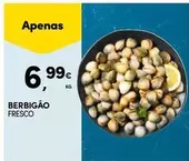 Berbigão