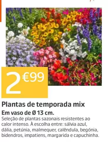 Plantas De Temporada Mix