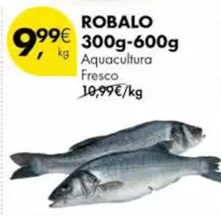 Aquacultura - Robalo 300g-600g