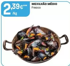 Mexilhão Médi
