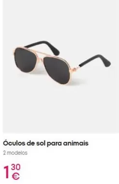 Sol - óculos de sol para animales