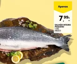 Salmão Inteiro Pequeno