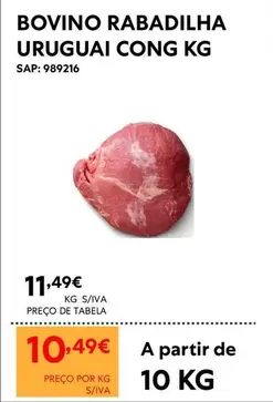 A+ - Bovino Rabailha Uruguai Cong
