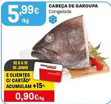 Cabeça De Garoupa
