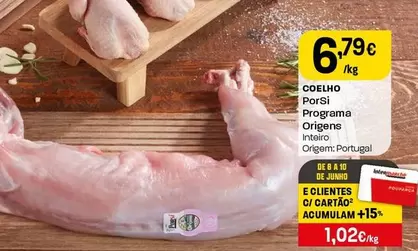 Porsi - Programa Origens Coelho