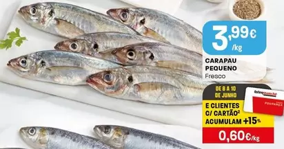 Carapau Pequeno