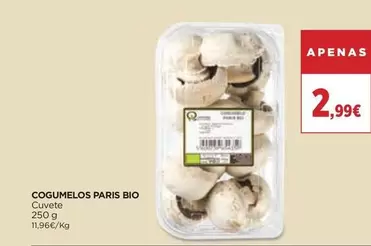 Cogumelos Paris Bio 