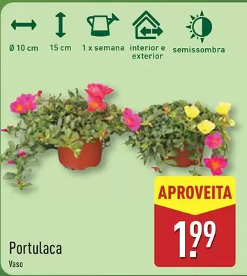 Portalca