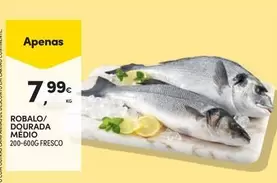 Robalo/Dourada Medio