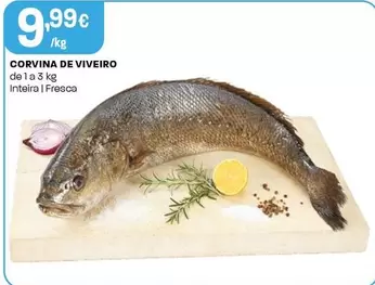 Corvina De Viveiro