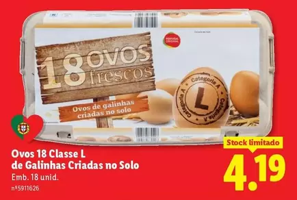 portugal - Ovos De Gallinhas Criadas No Solo