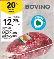 Bovino Coxao- Pojadouro