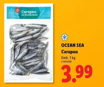 Ocean Sea -