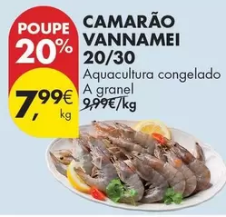 A+ - Camarão Vannamei 20/30