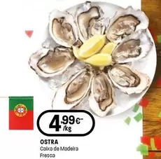 Ostra - Caixa De Madeira Fresca