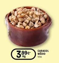 Caracol Medio