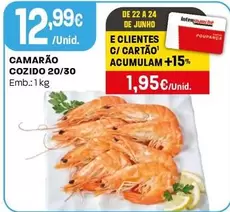 Camarão Cozido 20/30