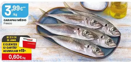 Carapau Medio