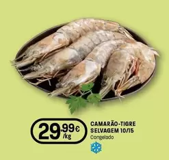 Camarão-tigre Selvagem 10/15