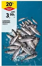 Carapau Pequeno