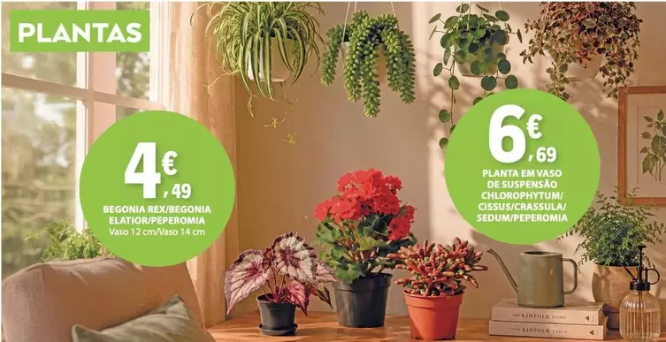 Planta - Plateau Perrosco De Suspension Childrenovina