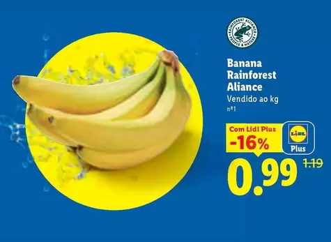 Nature - Banana Rainforest
