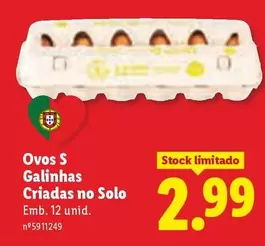 Ovos S Galinhas Criadas No Solo