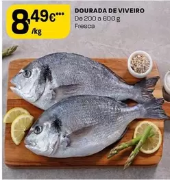 Dourada De Viveiro