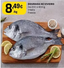 Dourada De Viveiro