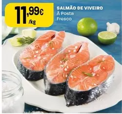 Salmão De Viveiro