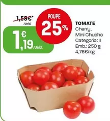 Tomate 