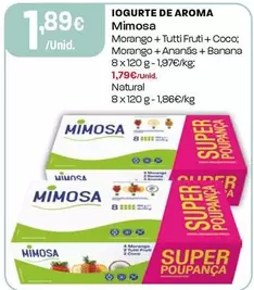 Mimosa - Iogurte De Aroma