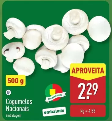 Cogumelos Nacionals
