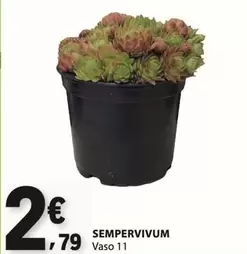 Vaso 11