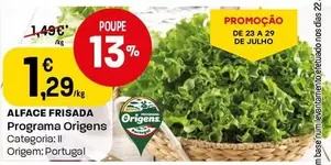 Programa Origens - Alface Frisada