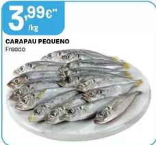 Carapau Pequeno