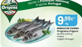 Programa Origens - Robalo De Viveiro