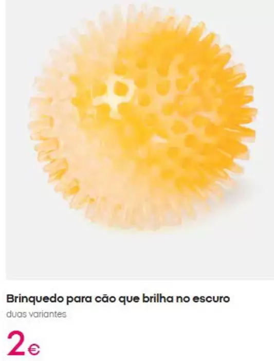 Brinquedo Para Cão Que Brilha No Escuro