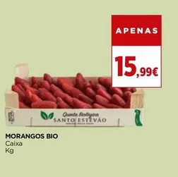Morangos Bio