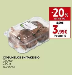 Cogumelos Shitake Bio