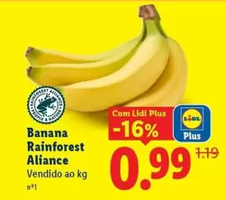 Nature - Banana Rainforest Aliance
