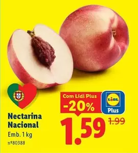 .Com - Nectarina Nacional