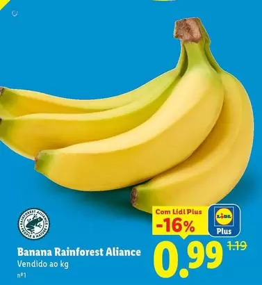 Nature - Banana Rainforest