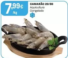 Camarão 20/30