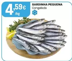 Sardinha Pequena Congelada